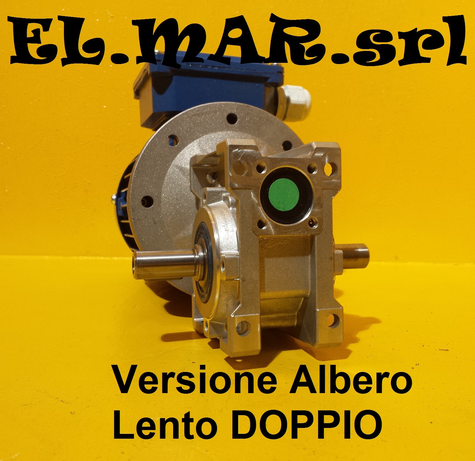 Hp 0,25 Kw 0,18 Motoriduttore Vite Senza Fine Monofase  Albero Maschio Doppio - 280 Giri ALTRO