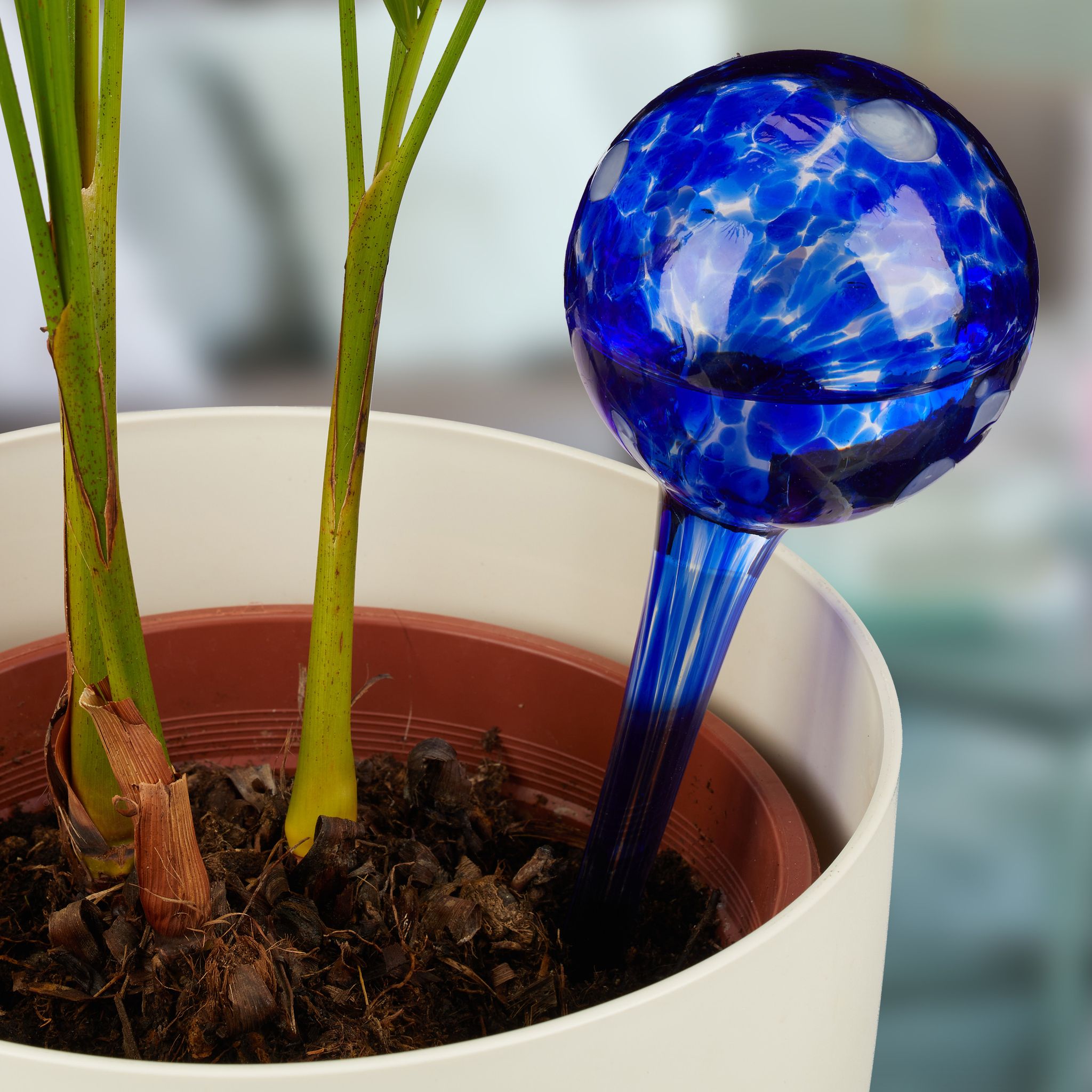 Globes D'Arrosage Lot De 2, Distributeur Eau Plantes Et Fleurs, Outil De Bureau, Ø 9 Cm, Verre, Bleu - Relaxdays