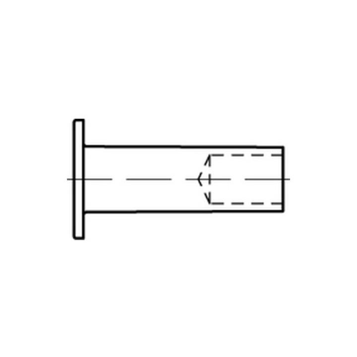 Oem Din 733 Halbhohlniete Kupfer B 6 X 12 Cu S 100 Stk