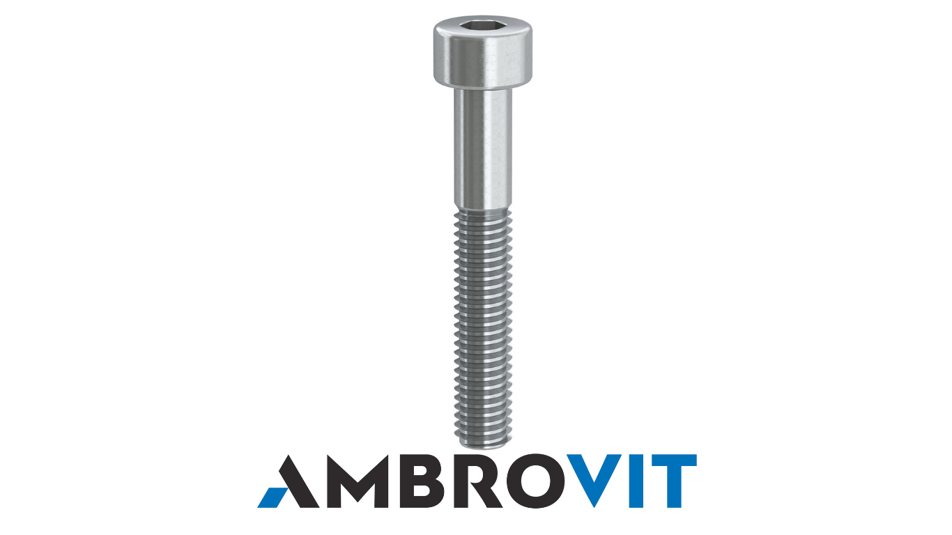 Protector Vite Tcei 8.8 Zinc.uni 5931 M6 X100