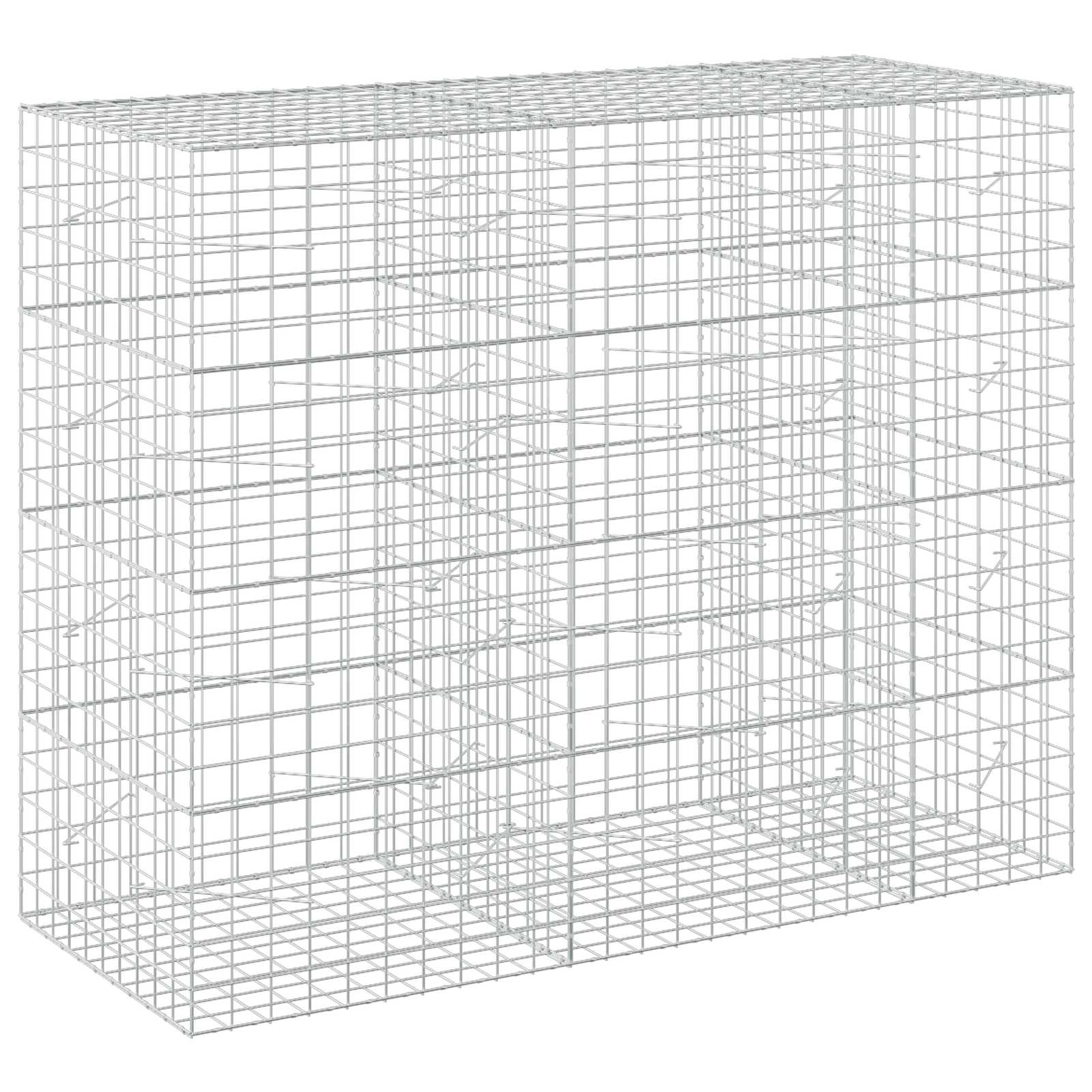 Vidaxl Versilbert Gabione Mit 5 Mm Draht Und 10X10 Cm Maschen 250X100x200 Cm