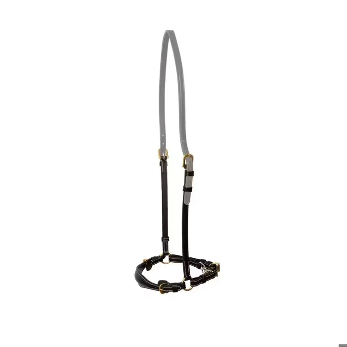 Dyon Schwarz Pferdehalfter Niedrig Mit Kette Dy'on - Bild 3