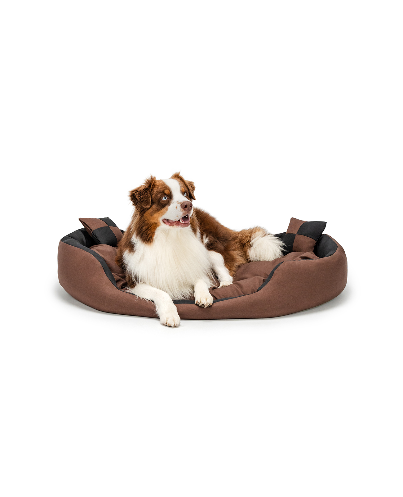 Dibea Braun Lionto Hundebett, Stilvolles 4-In-1 Hundekörbchen, Wasserabweisend, Kratzfest & Pflegeleicht, 110X80 Cm, Schwarz - Bild 3