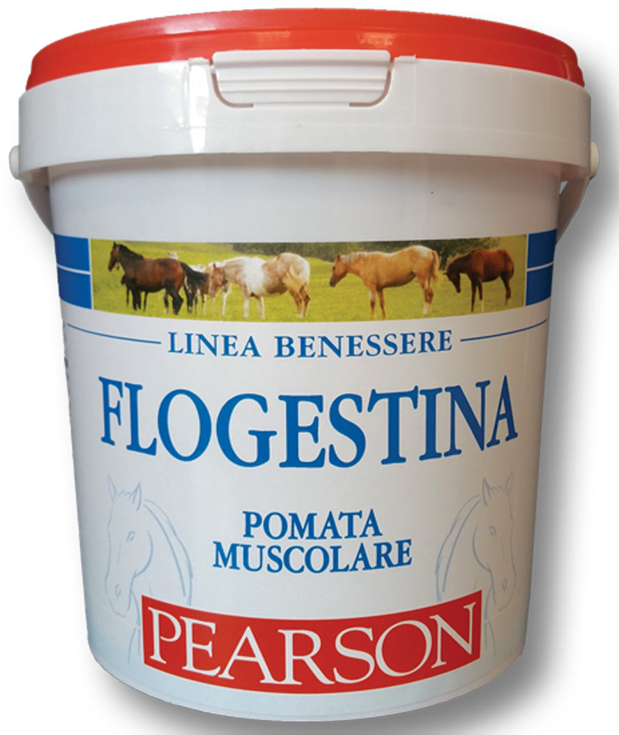 Tattini Weiß Creme Für Pferde Flogestina - Bild 2