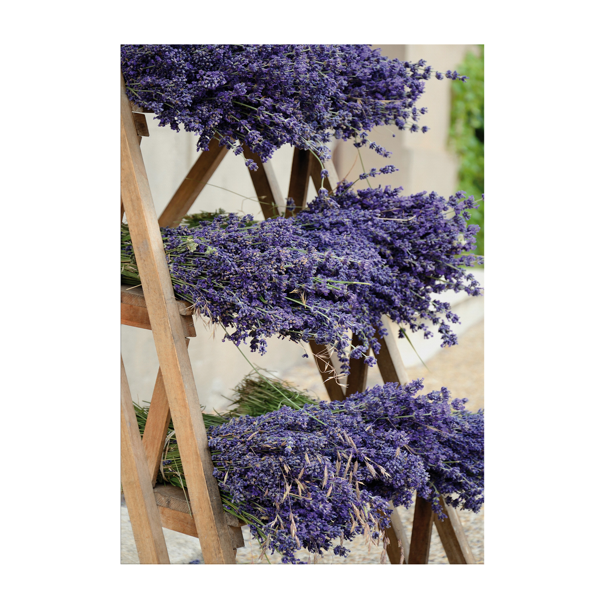 Art For The Home Outdoor Leinwandbild Garten Wanddeko - Lavendel - 70x50cm