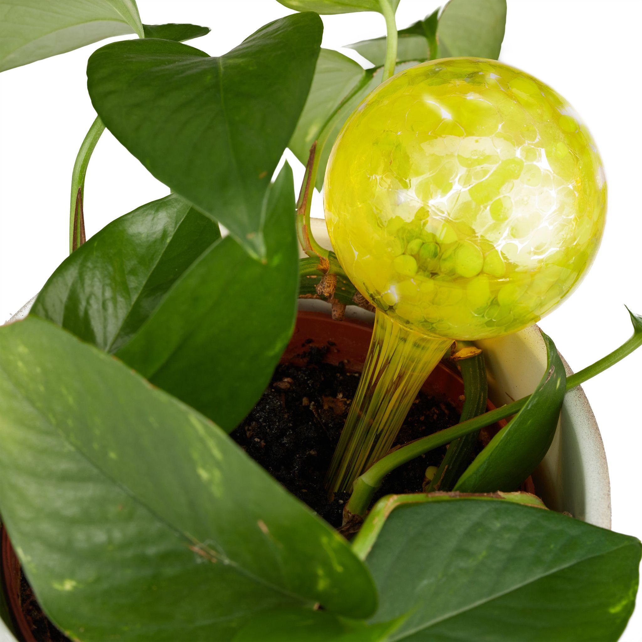 Globes D'Arrosage Lot De 2, Distributeur Eau Plantes Et Fleurs, Outil De Bureau, Ø 6 Cm, Verre, Jaune - Relaxdays