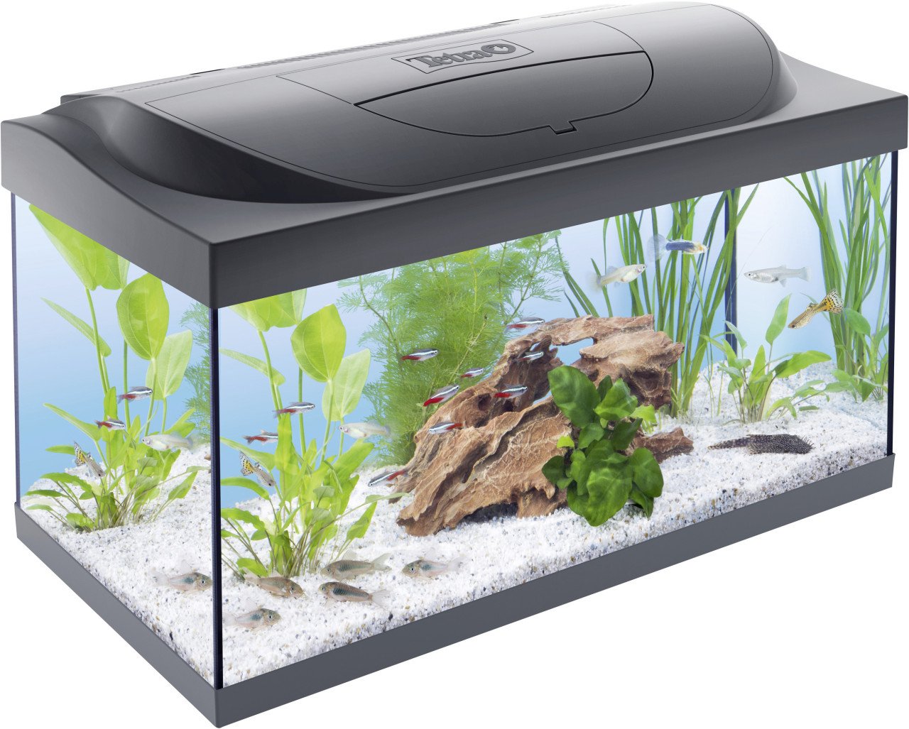 Tetra Schwarz - Starter Line Aquarium Set Mit Led 60X30x30cm 54L Komplett Set Inkl Filter