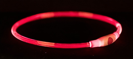Trixie Rot 4X Flash Leuchtring Usb (M, S, Hund), Halsband + Leine - Image 2