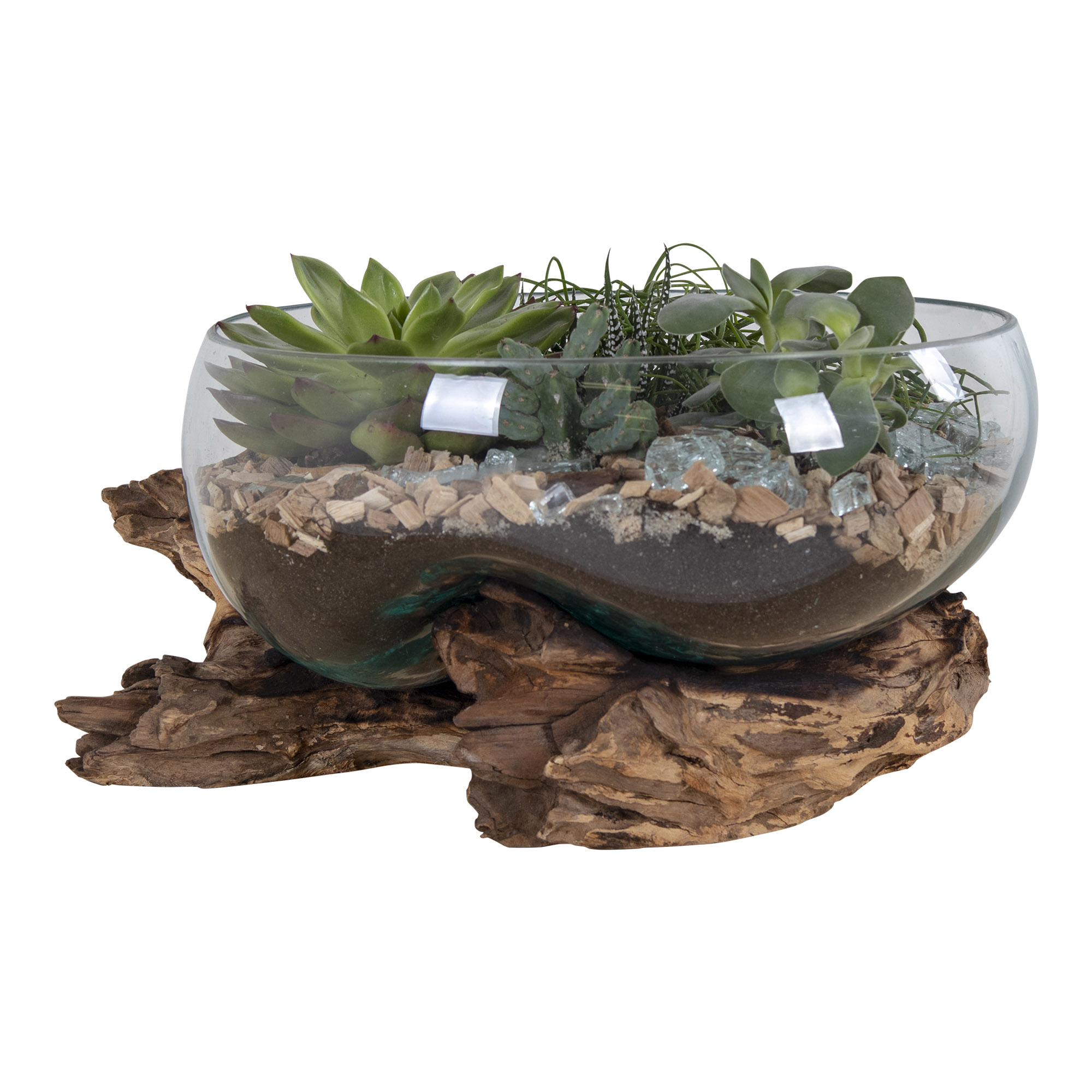 House Nordic Beige Vase Aus Teakholz Und Glas, Natur San Marino - Bild 4
