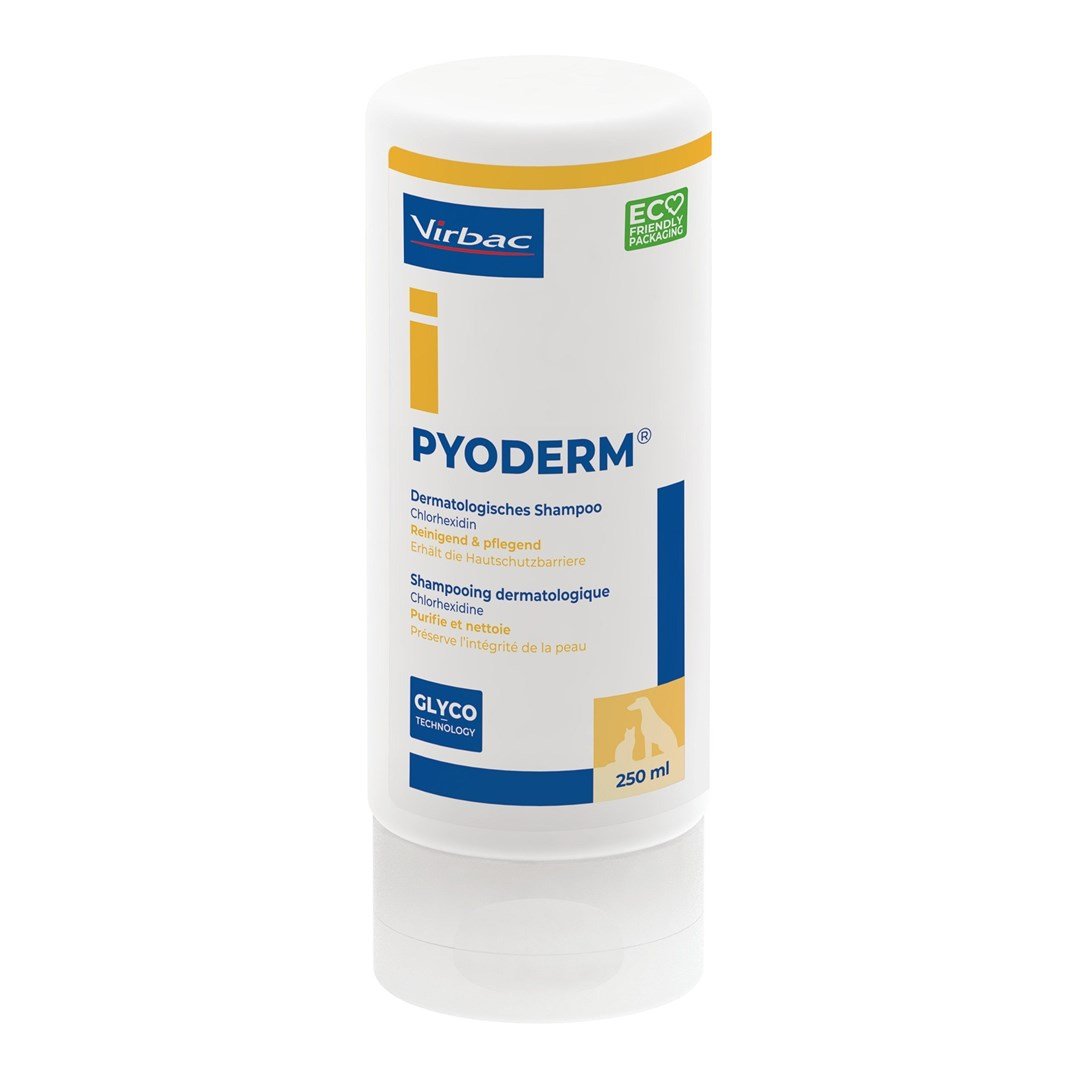 Pyoderm Shampoo f.Hunde/Katzen 250 ml - Bild 5