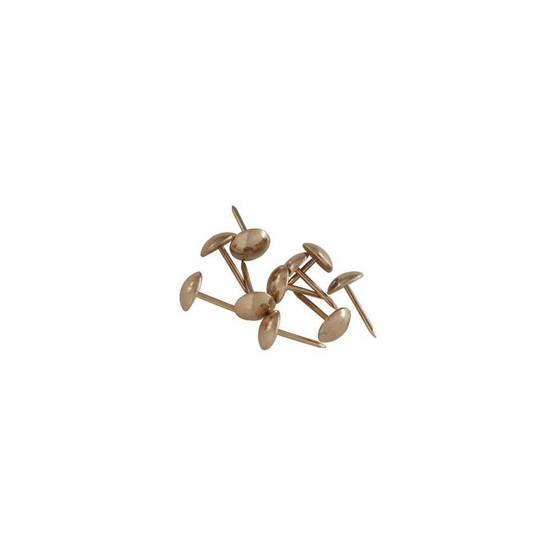 Onestopdiy.com Bullette Per Tappezzeria/mobili, 9 X 16 Mm, Placcate Ottone, Confezione Da 40