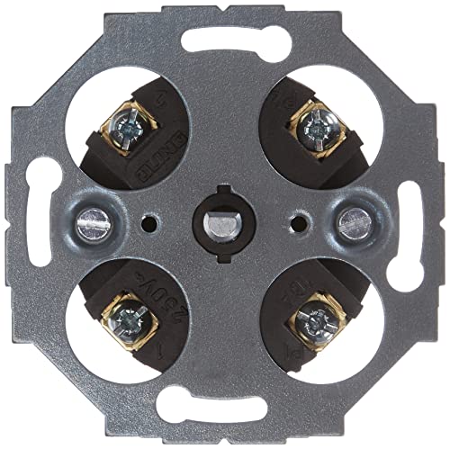 Busch-jaeger Inserto Interruttore Orario Meccanico 15 Minute [unit Of Time] 2 Contatti Normalmente Chiusi 16 A (1070 U), 2cka001043a0025