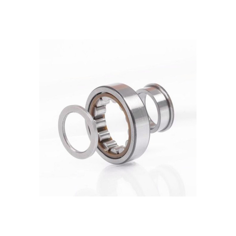 Fag Cuscinetto A Rulli Cilindrici Nup2305 Etvp2c3 24mm Od 62mm Id 2...