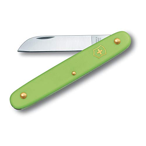 Victorinox 3.9050.47B1 EcoLine Pastel Green Budding Knife for Gard...