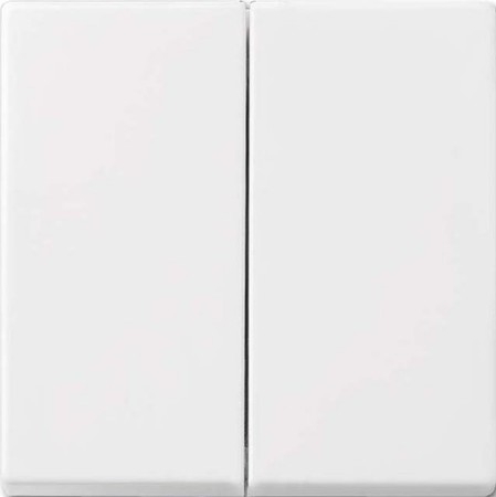 Busch-Jaeger Wippe aws Busch-balance SI 2505-914
