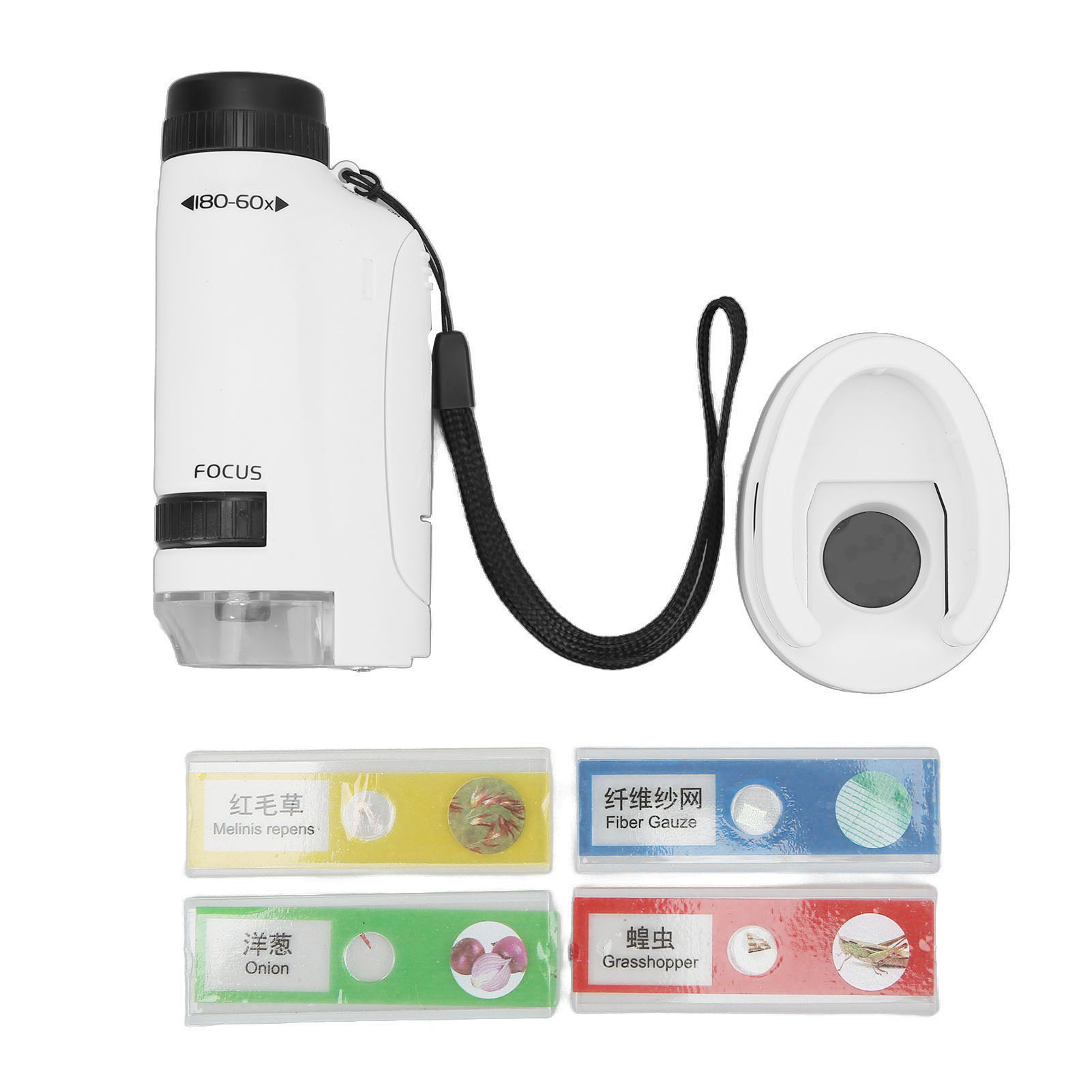 Microscope de poche pour enfant, grossissement 60x à 120x, LED, socle et 4 échantillons