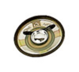 Fonestar Mehrfarbig Lautsprecher 1In1/2 0,25W