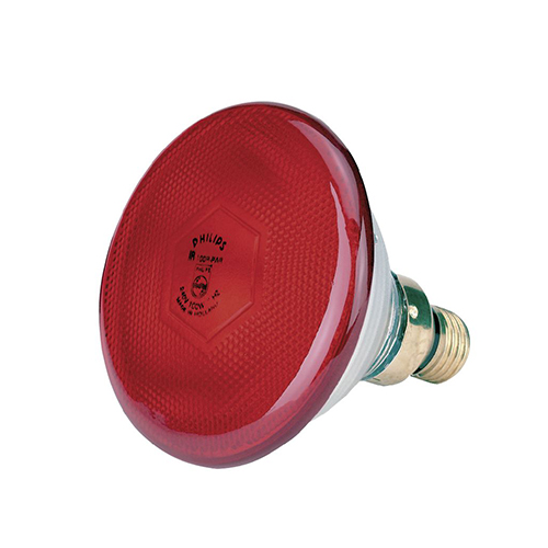 Kerbl Rot Sparsame Infrarotlampe Philips - Bild 4
