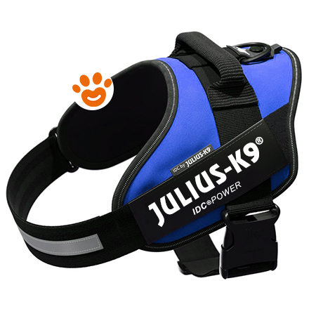 Julius K9 - Pettorina Idc Powerharness (ita) - Pettorina Idc Powerharness (ita) - Blu, Xxl / Taglia 3 (82-115cm)