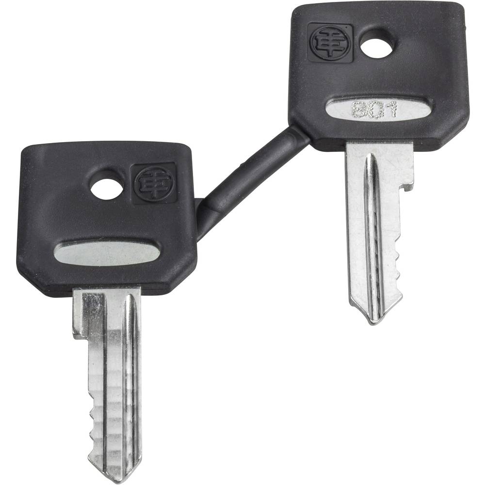 Schneider Electric ZBG421E ZBG421E Clé de rechange 1 pc(s) Piece