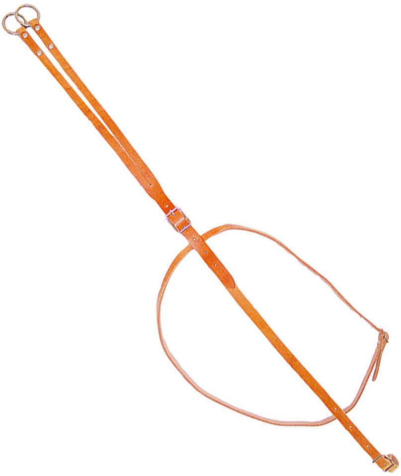 Pool's Beige Martingal Mit Ringen - Bild 2