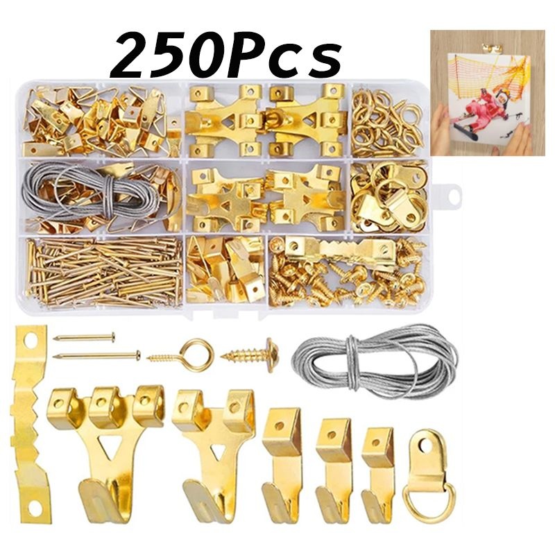 Kit de suspension de tableaux en acier inoxydable, 250 pièces, crochets de 10 à 75 lb, clous, vis et anneaux en D inclus
