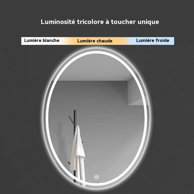 Miroir De Salle De Bain Ovale 70x50cm Étanche 3 Couleurs Lumière Avec