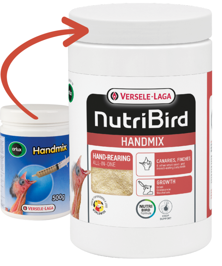 VERSELE-LAGA NutriBird Handmix 500g Handaufzuchtfutter für Vögel - Bild 3