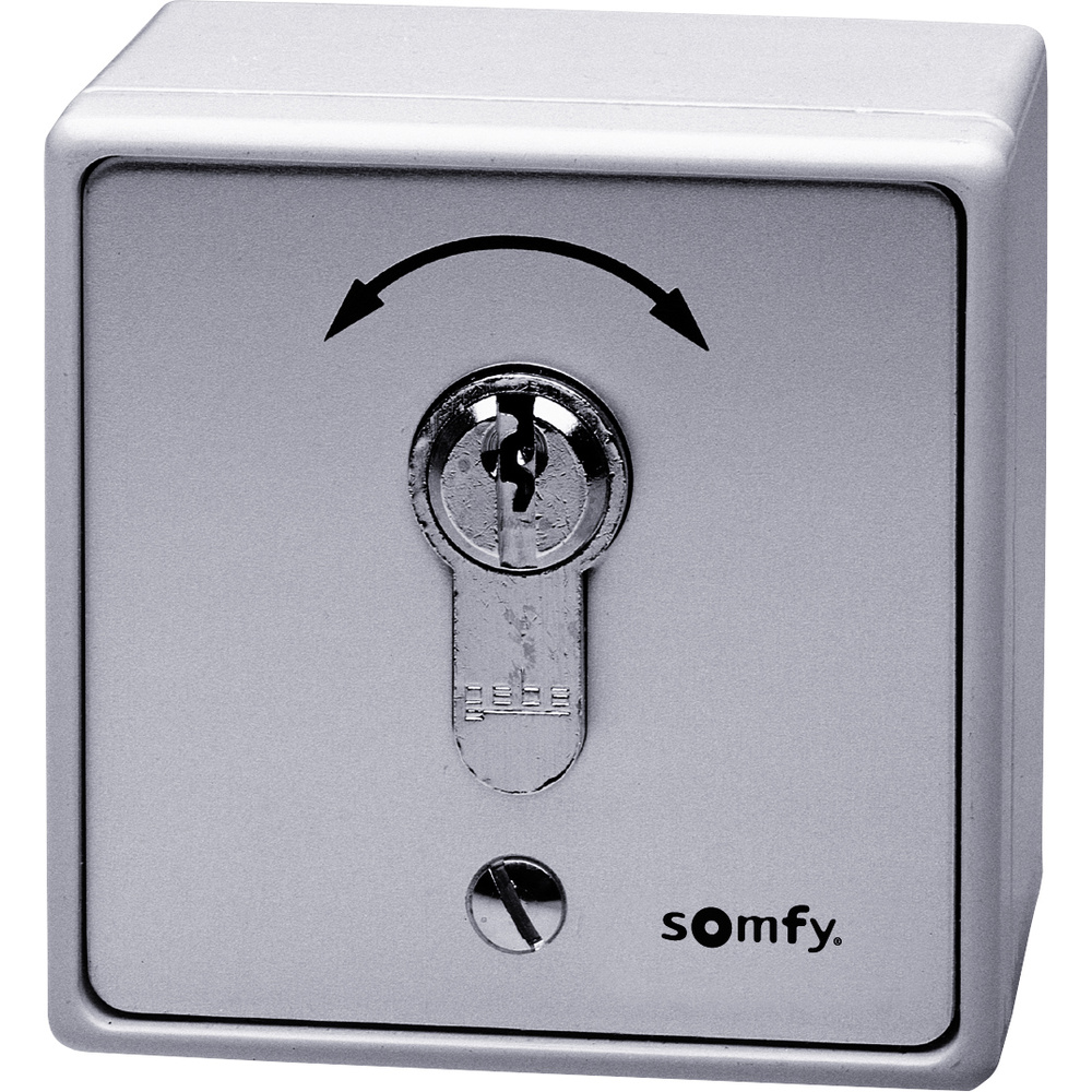 Somfy Grau 1871148 Torantrieb Schlüsseltaster Unterputz, Aufputz