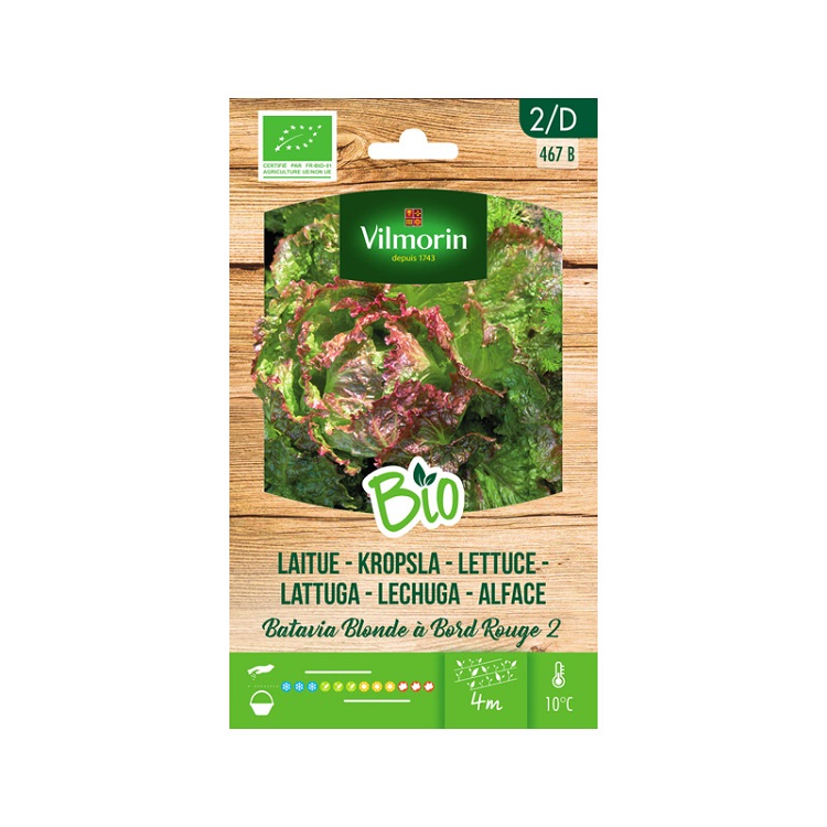 Vilmorin Rot Garden Bio Seeds Batavia Iceberg 2 Ungefhr 2 Gr
