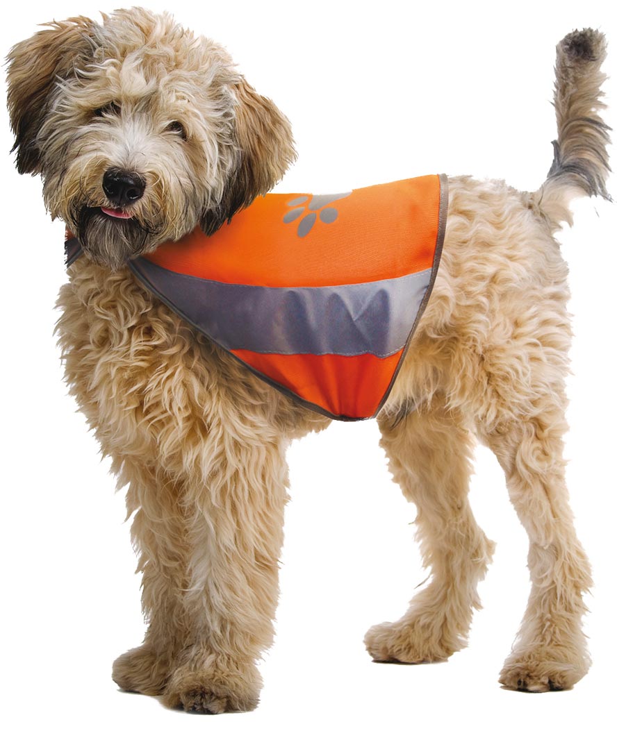 Croci Reflektierende Jacke M: Reflektierende Jacke Für Hunde - Bild 2