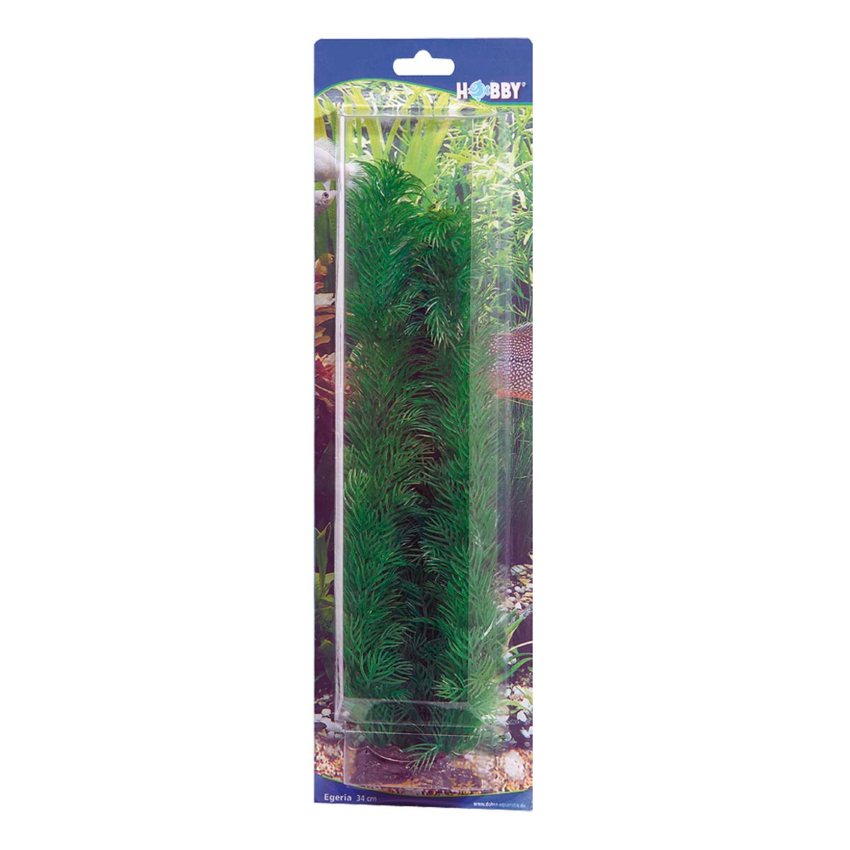 Egeria, 34 Cm - Künstliche Aquariumpflanze - Hobby