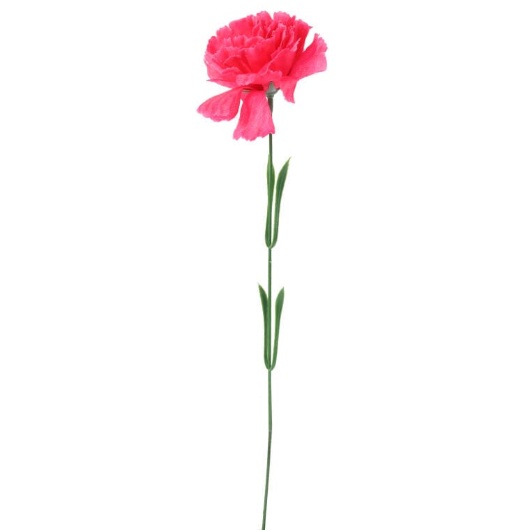 Garofano Singolo Rosa Scuro, 46 Cm