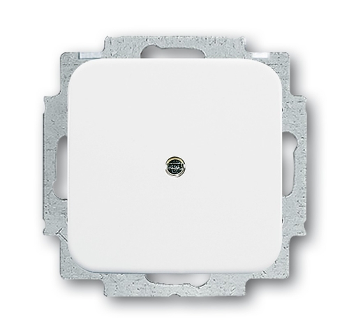 2538-214 Plaque Store, Central - Busch-jaeger