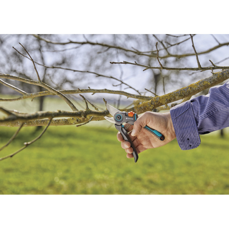 Pruner Expertcut