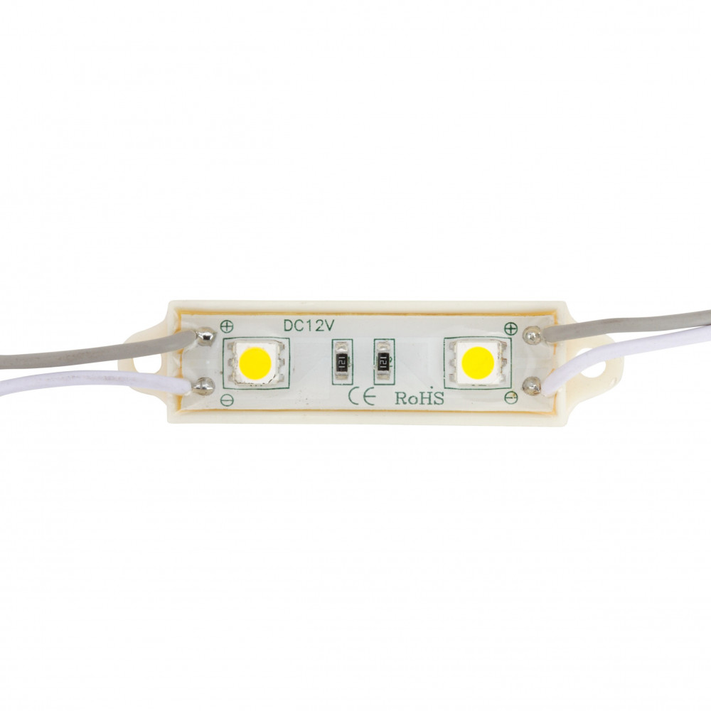 Modulo 0,48 W 45 Lm 2 Led Smd5050 40.000 H [us lmp5050w2 0003]