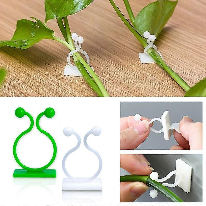 Crochet adhésif pour plante grimpante, ABS vert, taille S, lot de 20