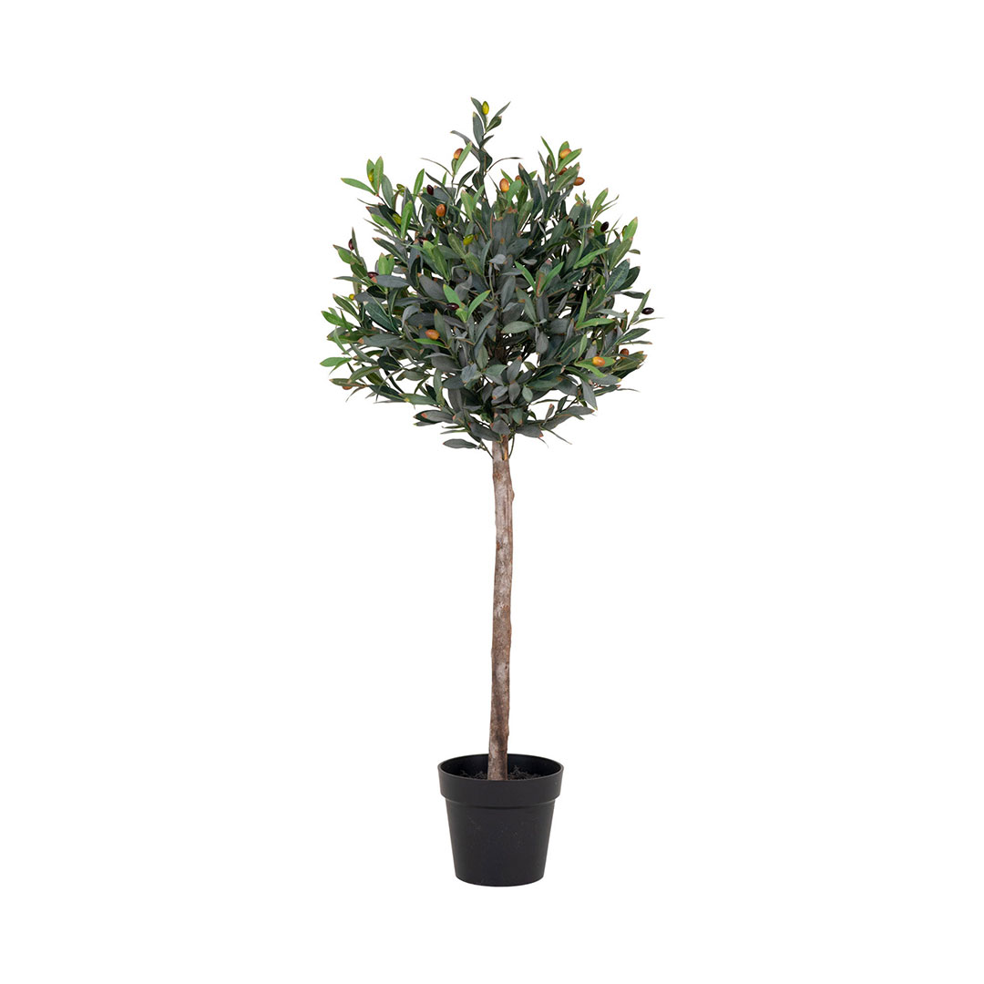 House Nordic Oliventræ Künstliche Pflanze H120 Cm Grün.