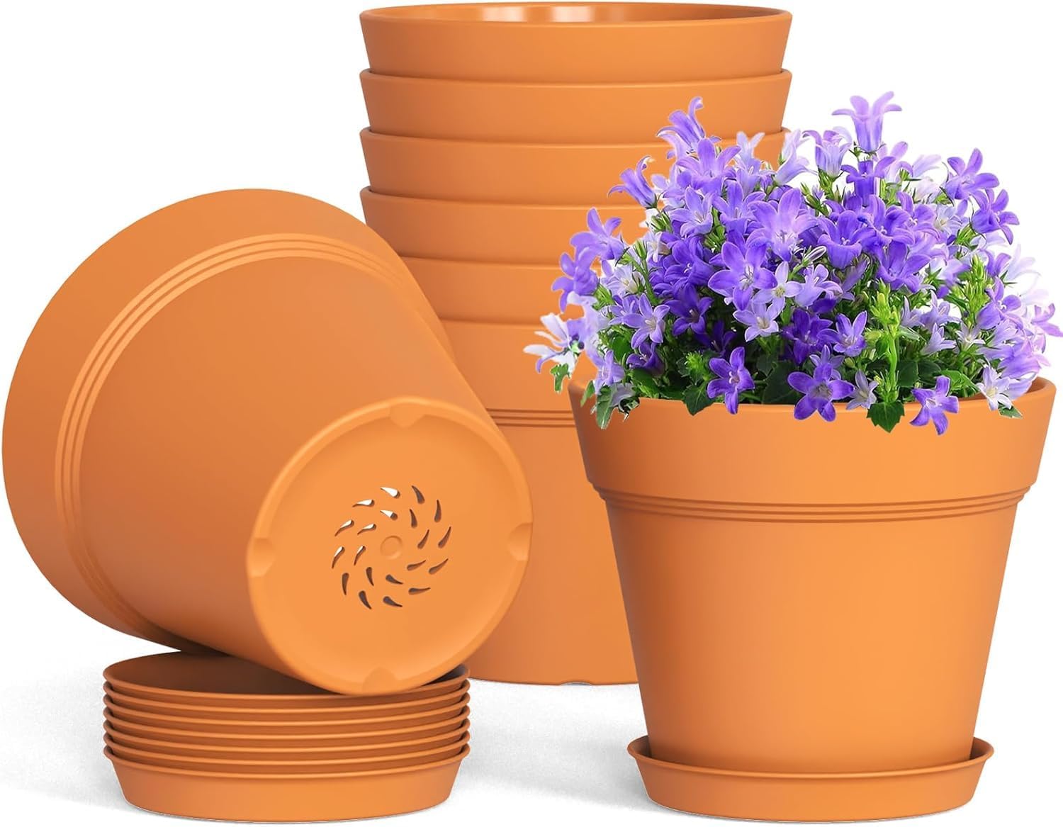 D'vine Dev Pots en Terre Cuite pour Plantes, 12 cm, 15 cm, avec Drainage et Soucoupe