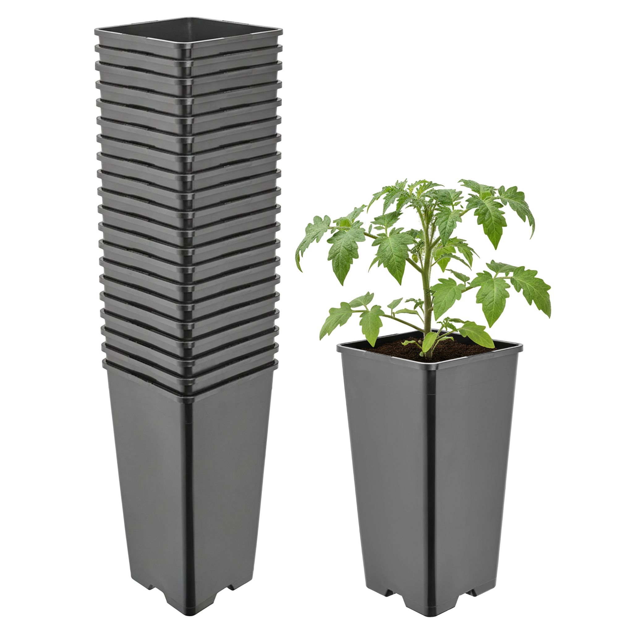 Garronda Pflanztopf Kunststoff Hoch 11 X 11 X 21, 5 Cm (2l) 20er Set Eckig Mit Drainagelöchern Blumentopf Pp Pflanzgefäß Für Garten Gewächshaus