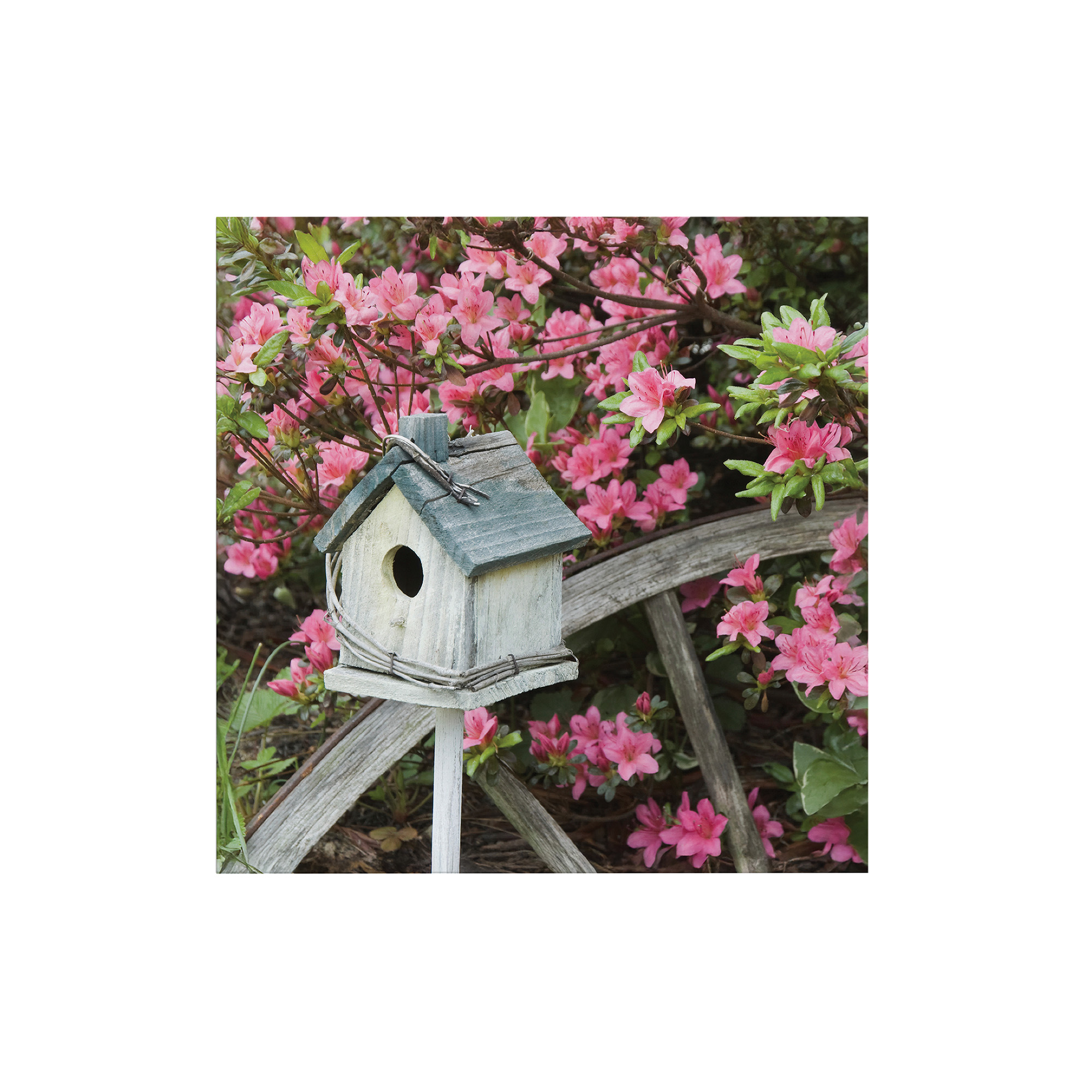Art For The Home Outdoor Leinwandbild Garten Wanddeko - Vogelhäuschen - 50x50cm