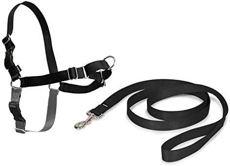 Petsafe Schwarz Hundegeschirr Easy Walk - Image 4