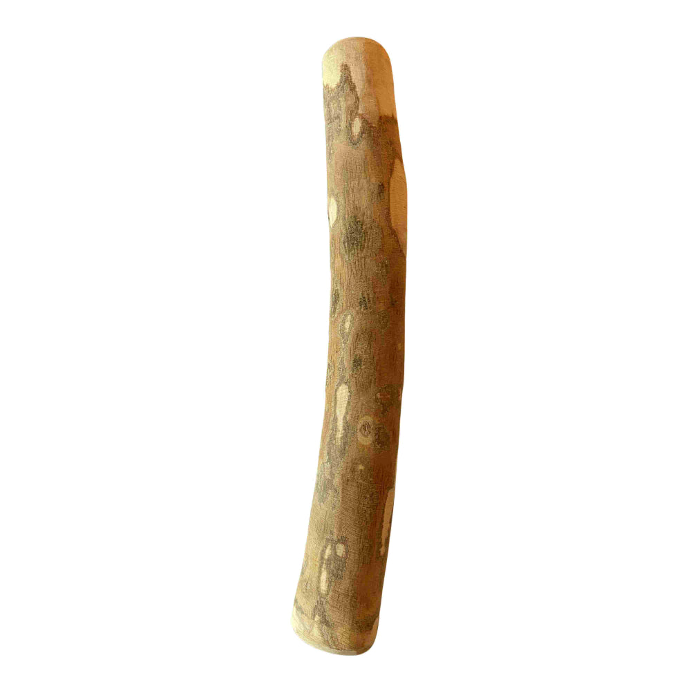 Boris & Lotje Olijfhout Kauwstaaf Hond 100% Natuurlijk Maat Xl, 25-32 Cm - Per Stuk