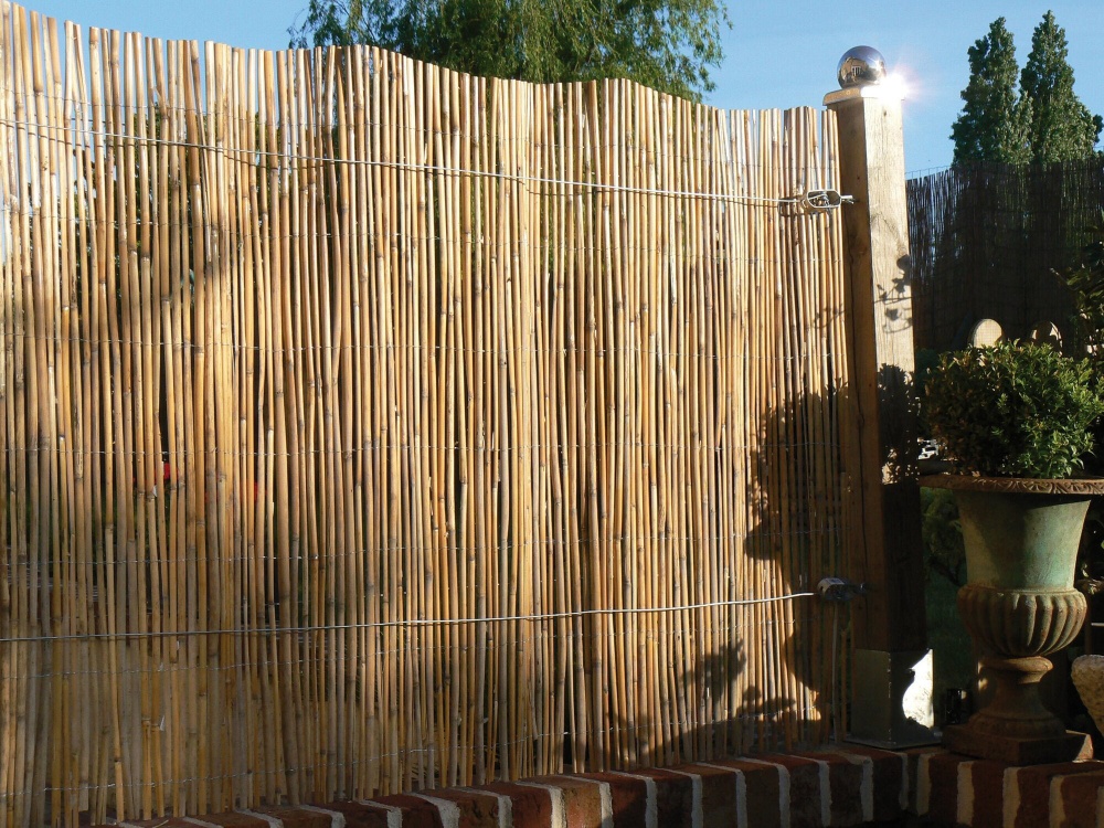 Nature Canisse - Natur - Naturbelassene Schilfrohre - 3 X 1 M