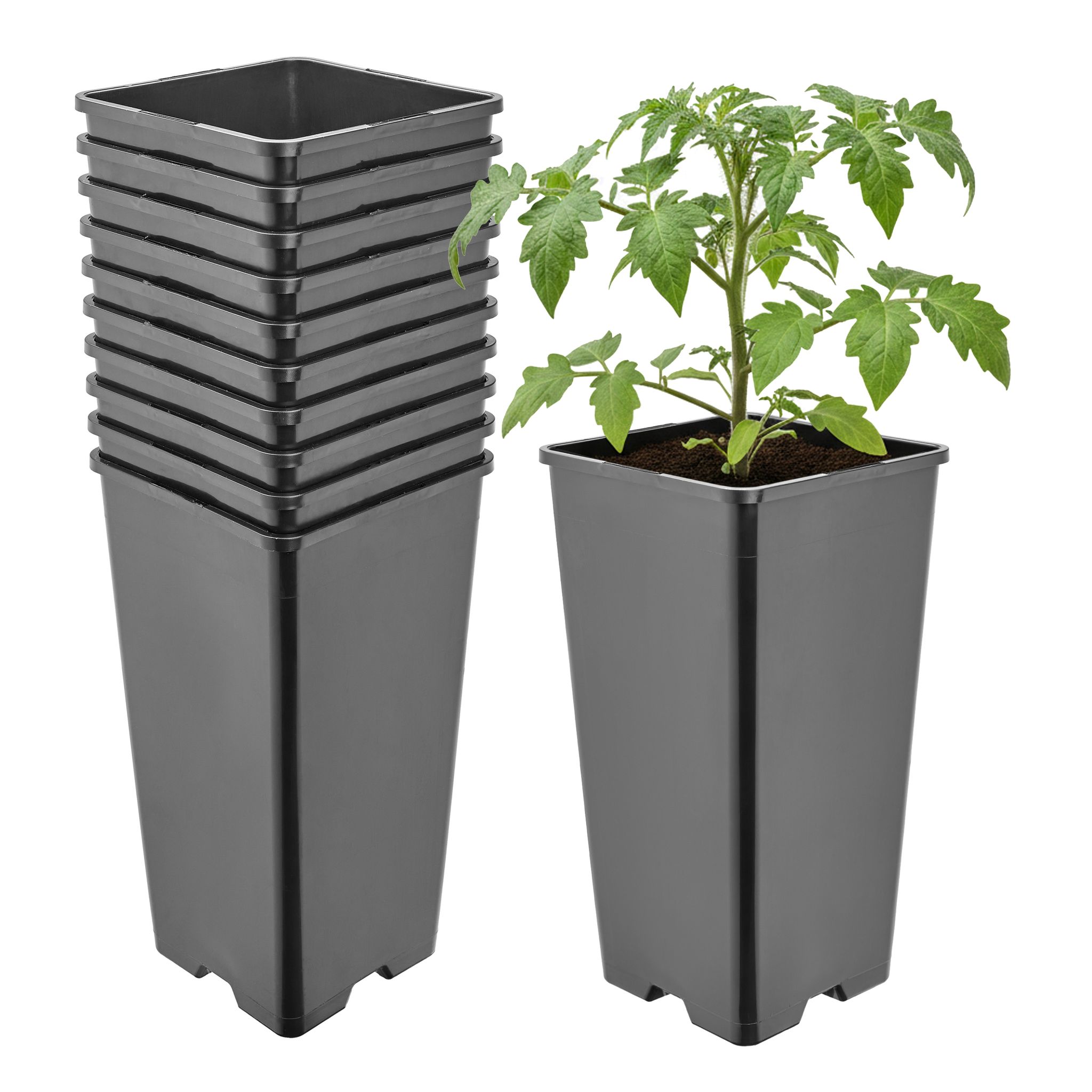 Garronda Pflanztopf Kunststoff Hoch 11 X 11 X 21, 5 Cm (2l) 10er Set Eckig Mit Drainagelöchern Blumentopf Pp Pflanzgefäß Für Garten Gewächshaus