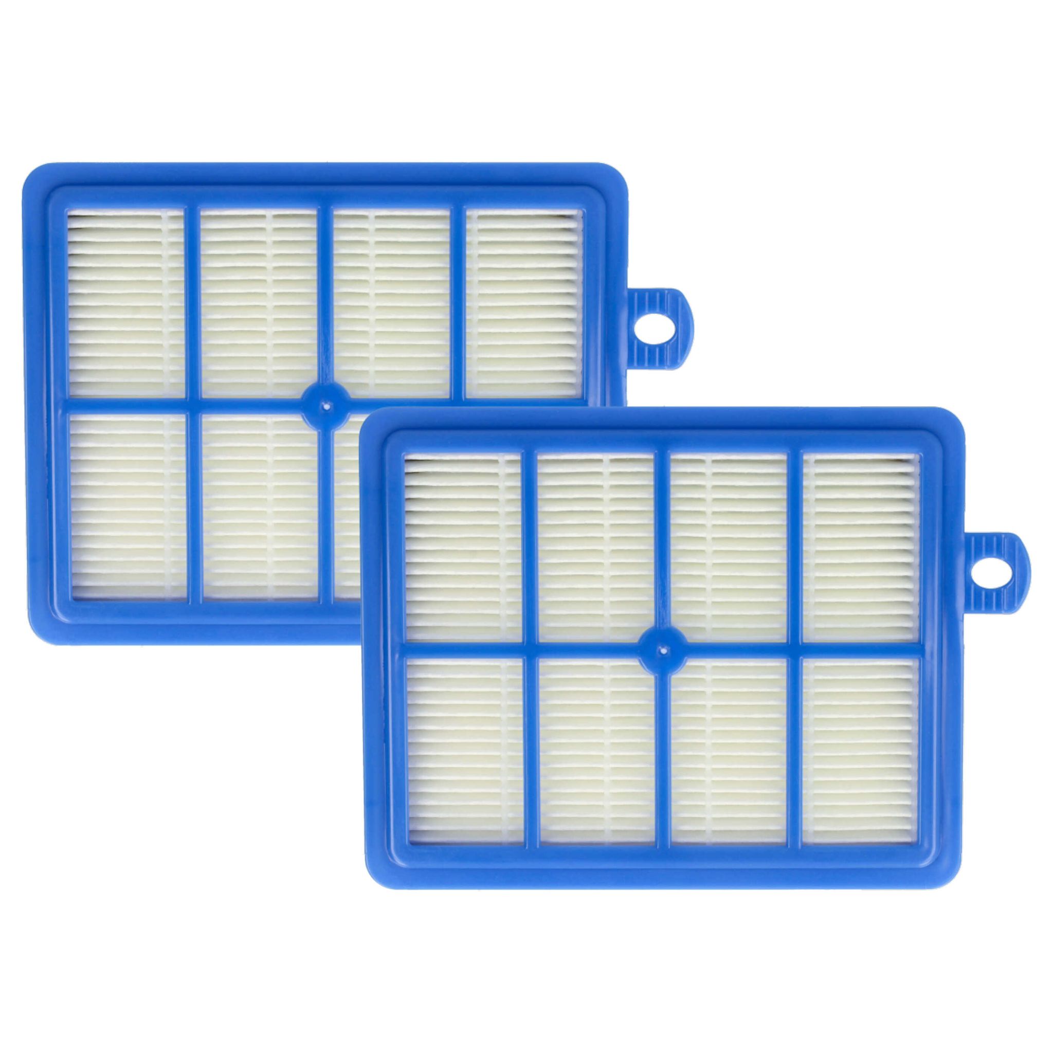 2x Filtro Compatibile Con Aeg Viva Control Avc 1143, 1137, 1138, 11...