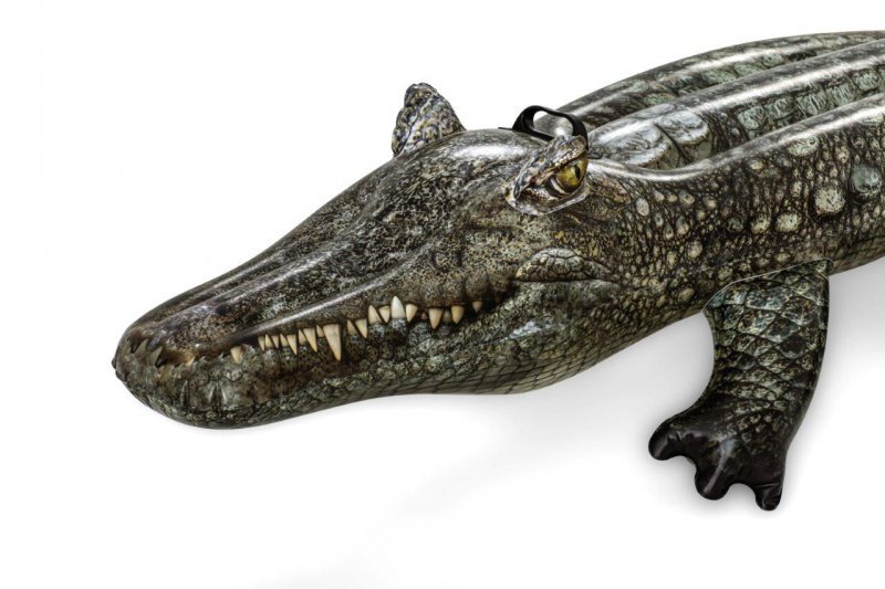 Crocodile Chevauch 193 X 94 Bestway Bey41478