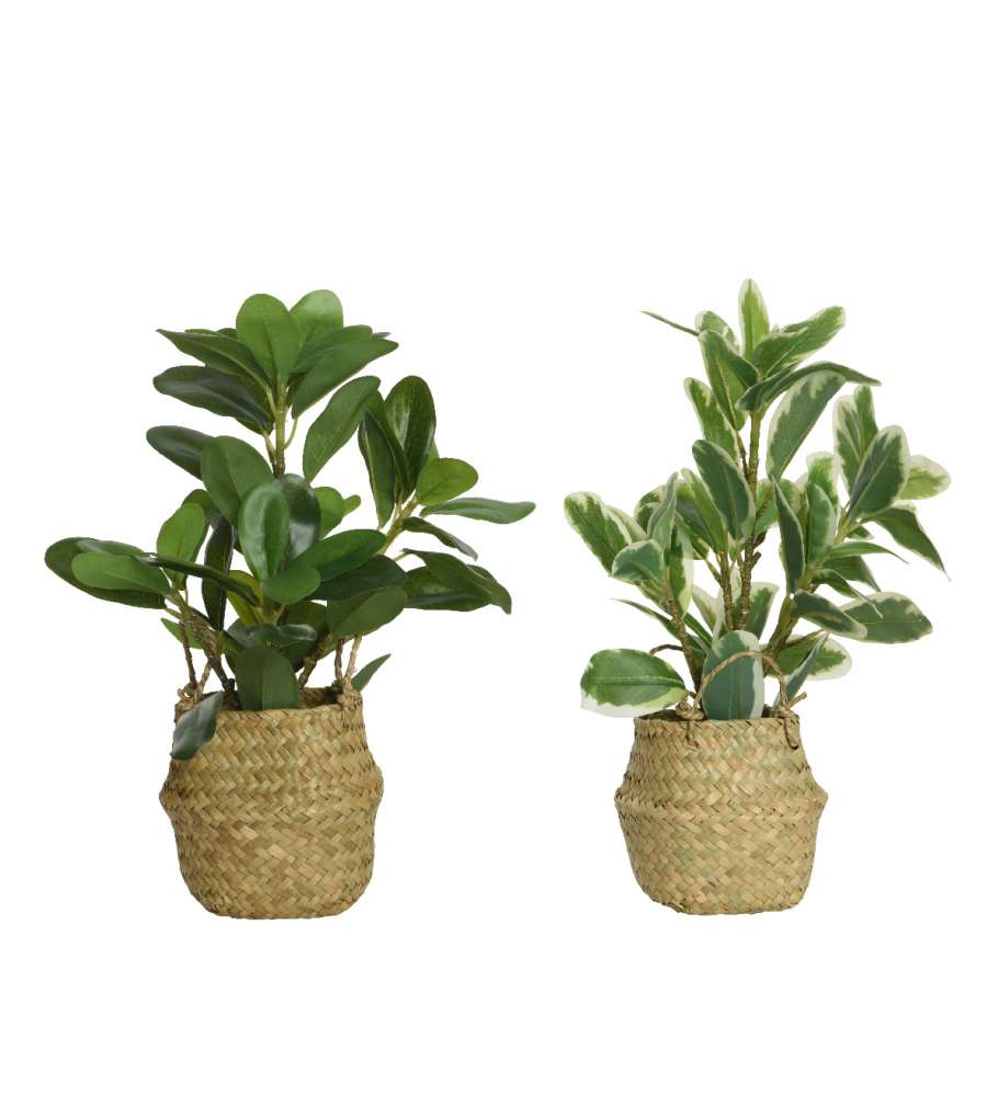 Kaemingk Pianta Artificiale Verde 25x25x35 Cm