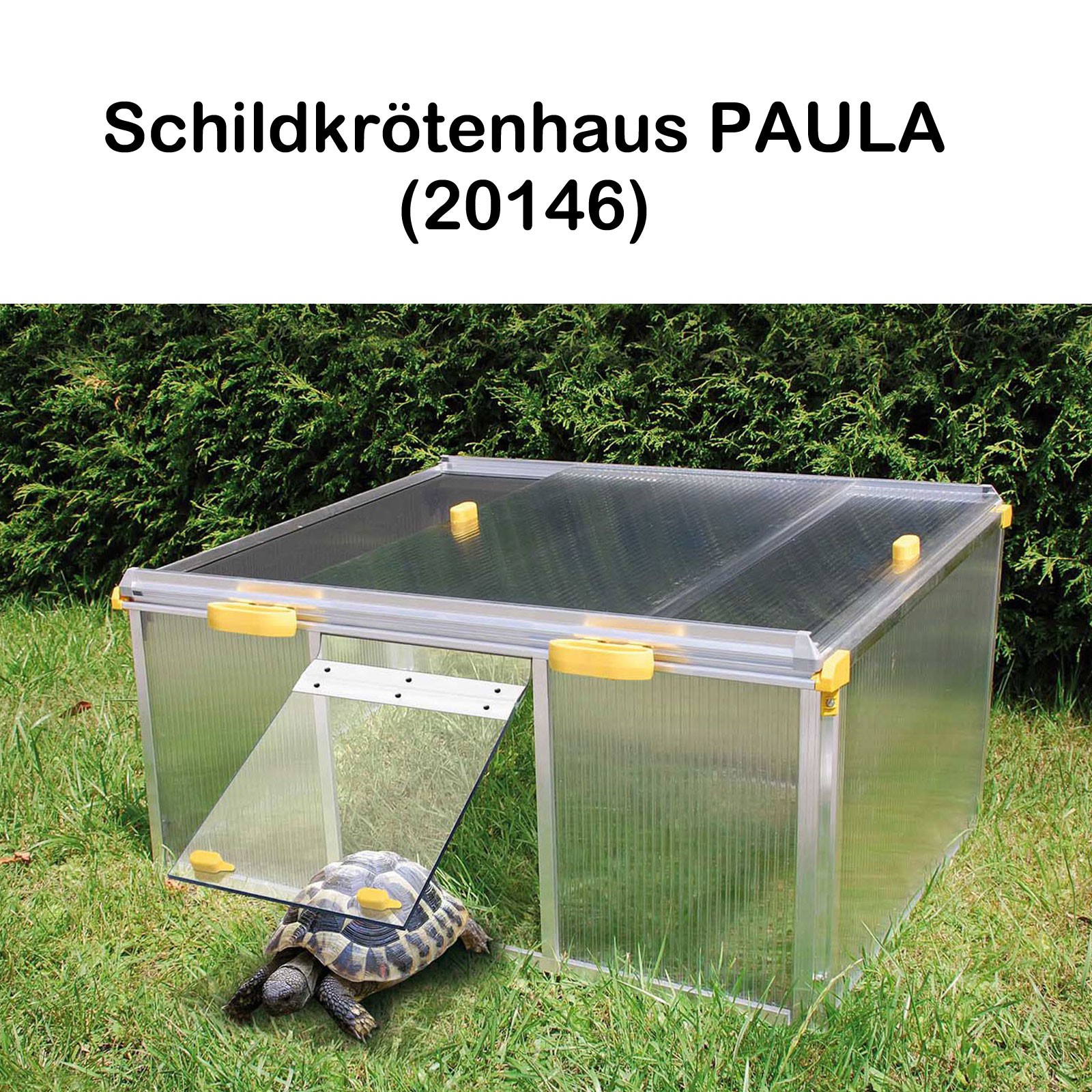 Juwel Transparent Schildkrötenhaus Paula, Wärmeisolierung, Stufenlose Belüftung, Pendeltür