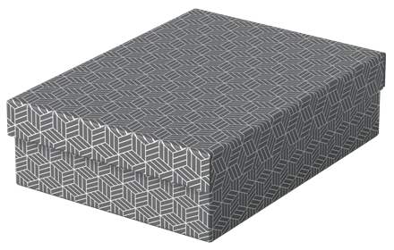 Leitz Grau Dokumentenablage, Esselte Home (A4) - Image 5